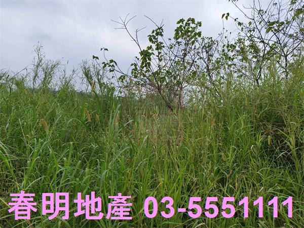 峨眉農地-10