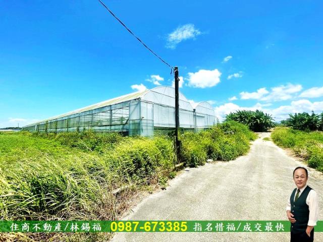 新營農地法拍-6