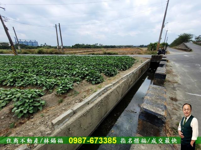 仁德農地-10