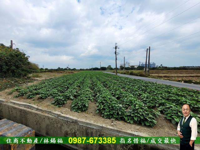 仁德農地-11