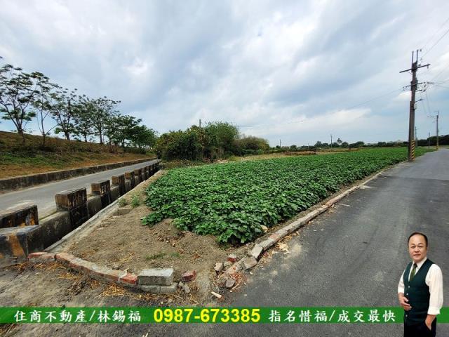 仁德農地-13