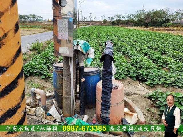 仁德農地-14