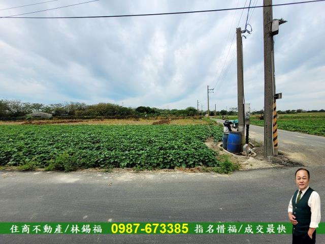 仁德農地-2