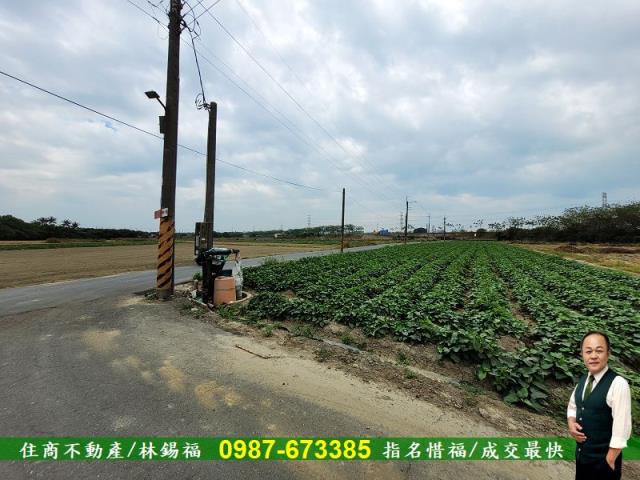 仁德農地-5