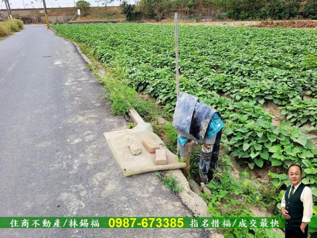 仁德農地-6