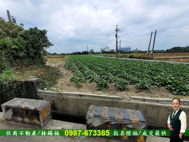 仁德農地-8