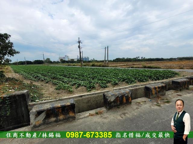 仁德農地-9