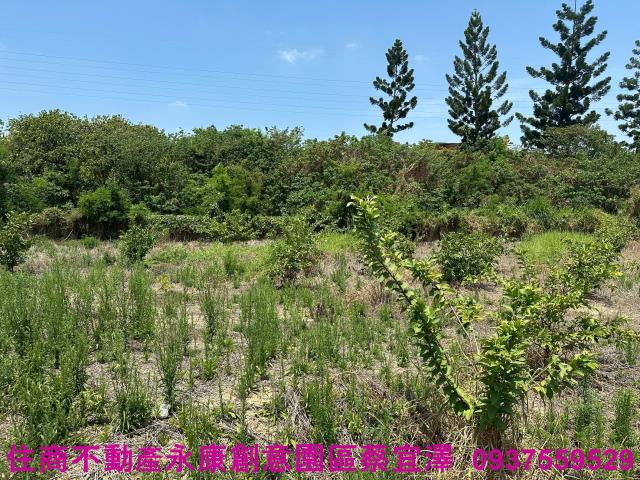 新化農地-3
