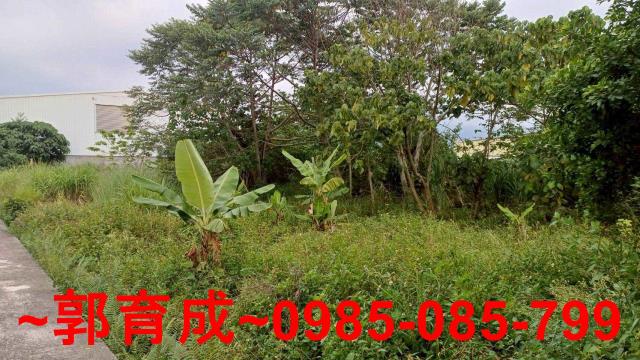 中埔農地-1
