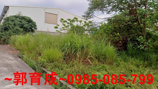 中埔農地-2