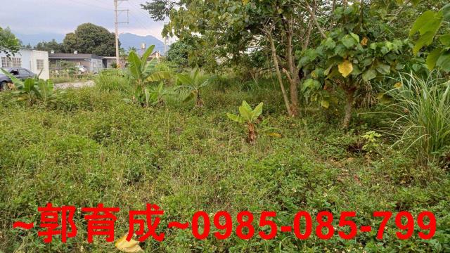 中埔農地-3