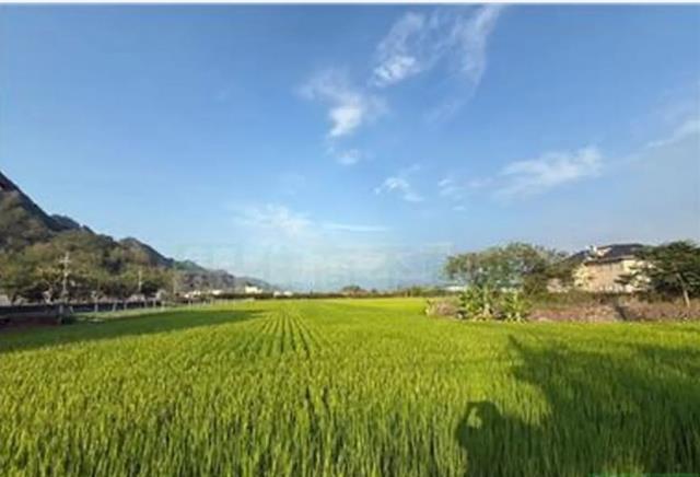 高雄農地-3