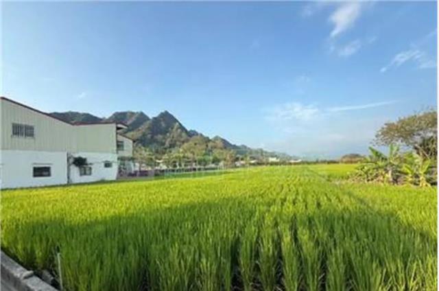 高雄農地-4