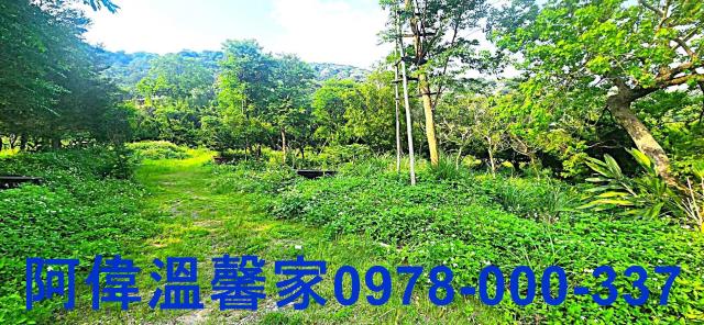 新竹農地-2