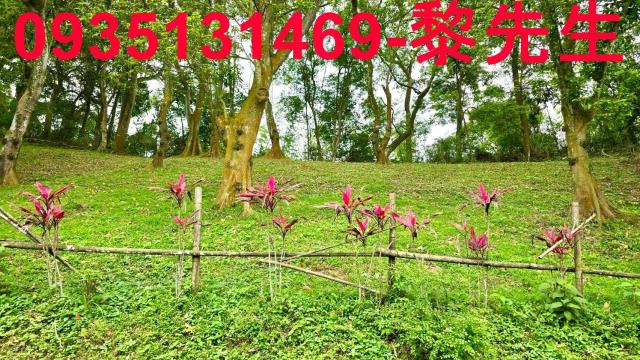 苗栗農地-1