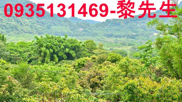 苗栗農地-2