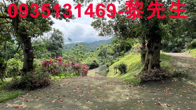 苗栗農地-8