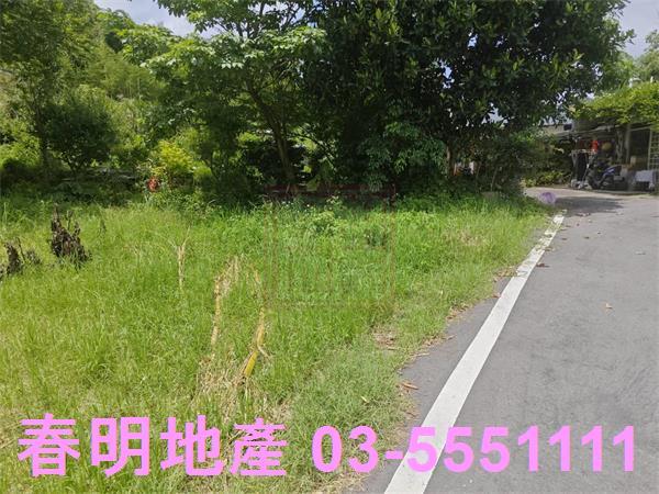 新竹建地-5