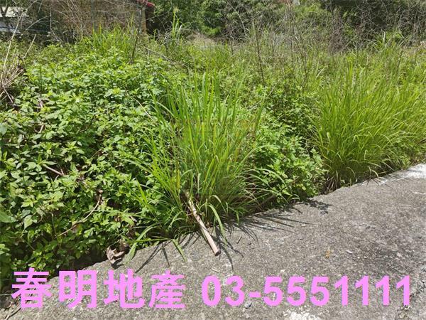 新竹建地-6