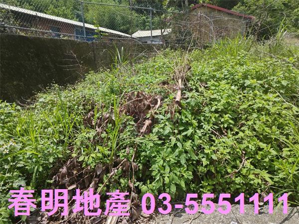 新竹建地-7