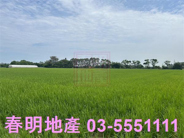 新竹農地-4