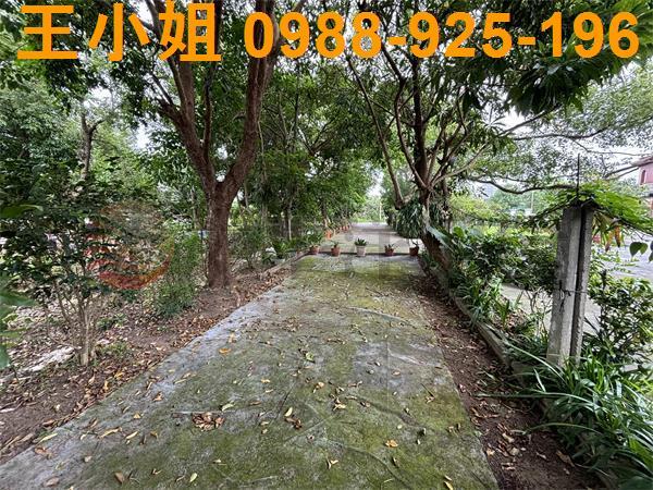 桃園八德農地-1