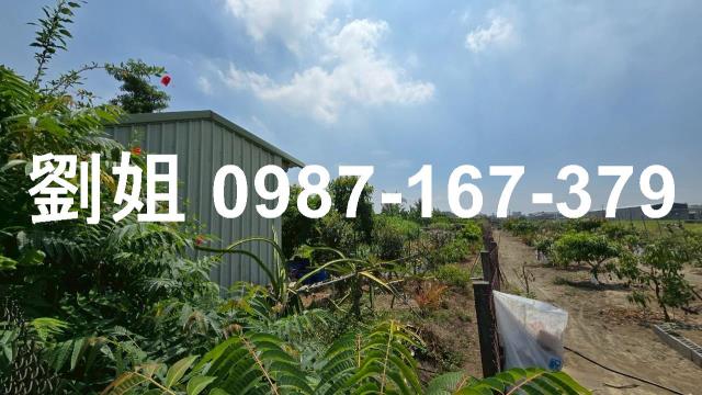 高雄大寮農地-4