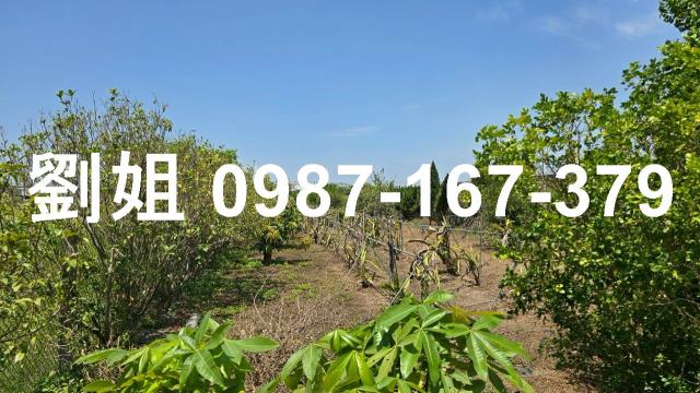 高雄大寮農地-5