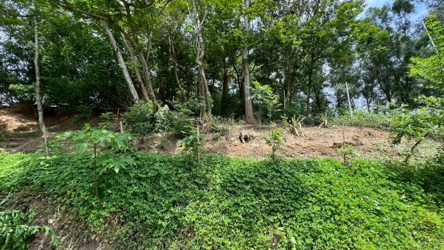 新竹北埔山坡地-14