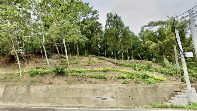 新竹北埔山坡地-15