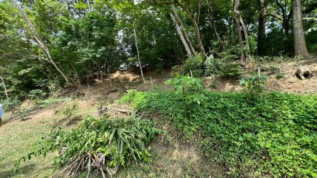 新竹北埔山坡地-4