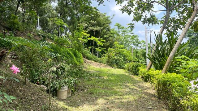 新竹北埔山坡地-5