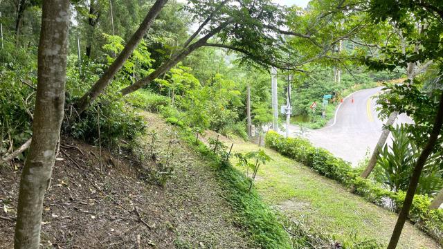 新竹北埔山坡地-8