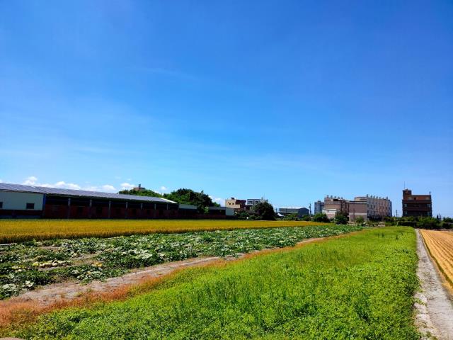 彰化溪湖農地-10