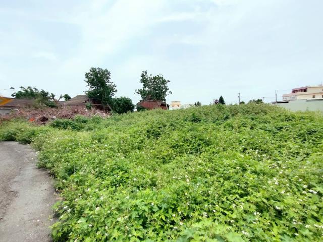 彰化埔鹽建地-10