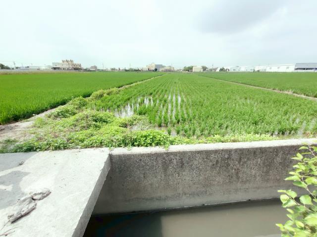 彰化埔鹽農地-10