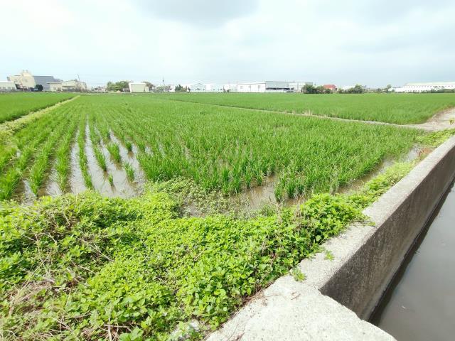 彰化埔鹽農地-11