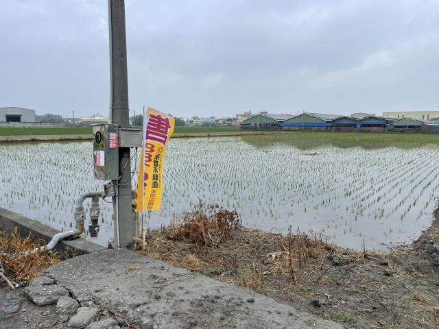 彰化埔鹽農地-1