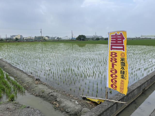 彰化埔鹽農地-3