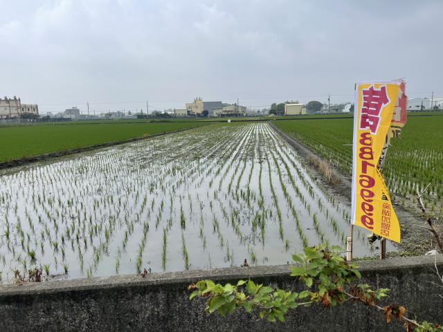 彰化埔鹽農地-4