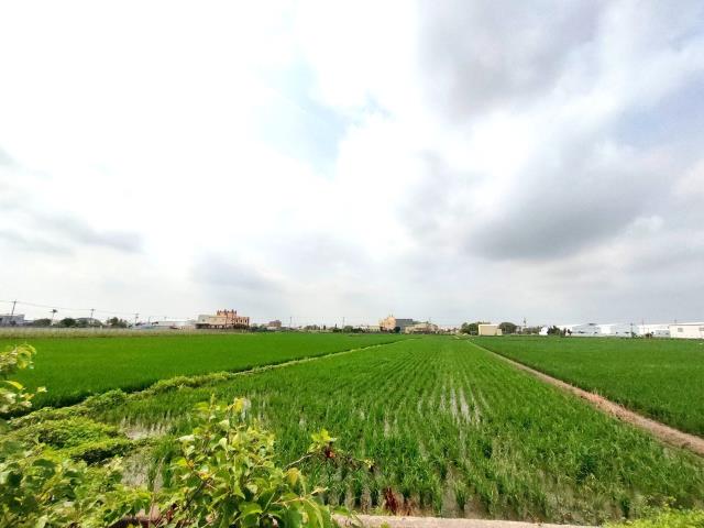 彰化埔鹽農地-5