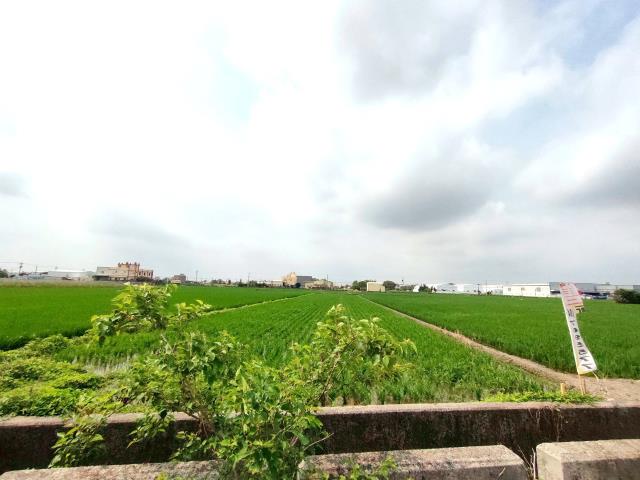 彰化埔鹽農地-6