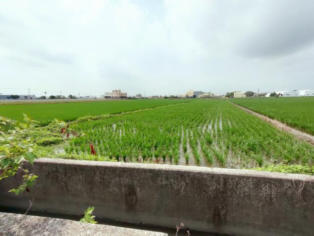 彰化埔鹽農地-8