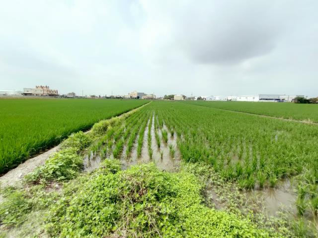 彰化埔鹽農地-9