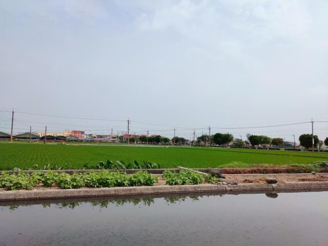 埔鹽農地-1