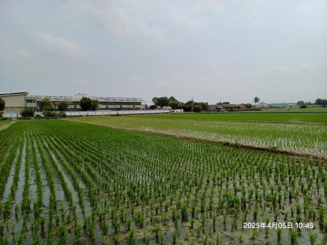 埔鹽農地-8