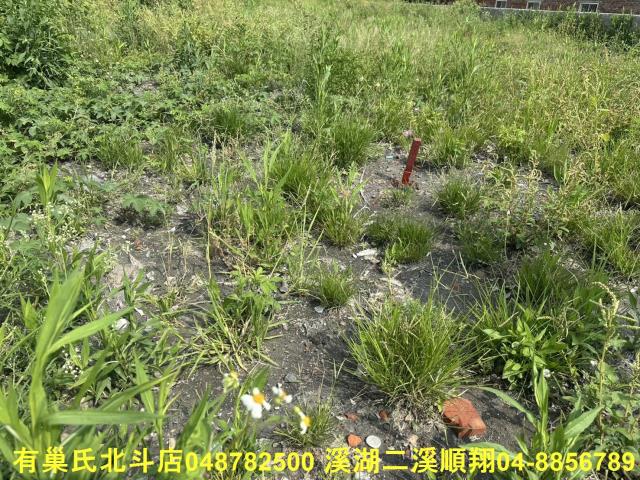 秀水農地-10