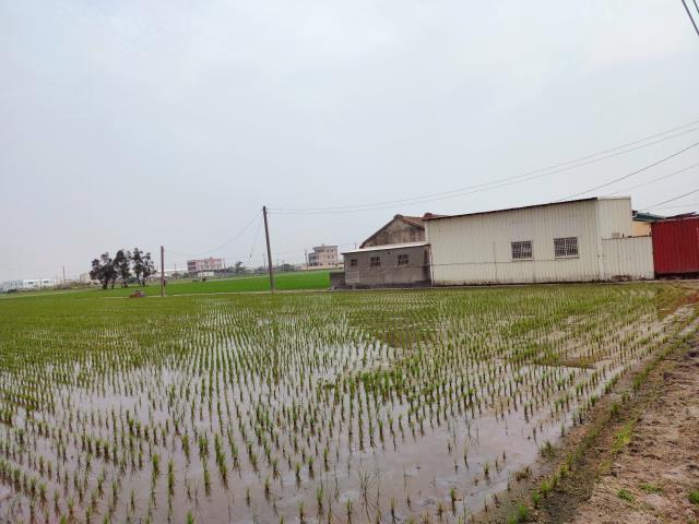 福興農地-10