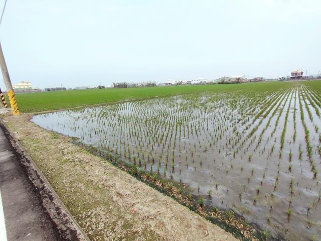 福興農地-3