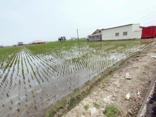 福興農地-4